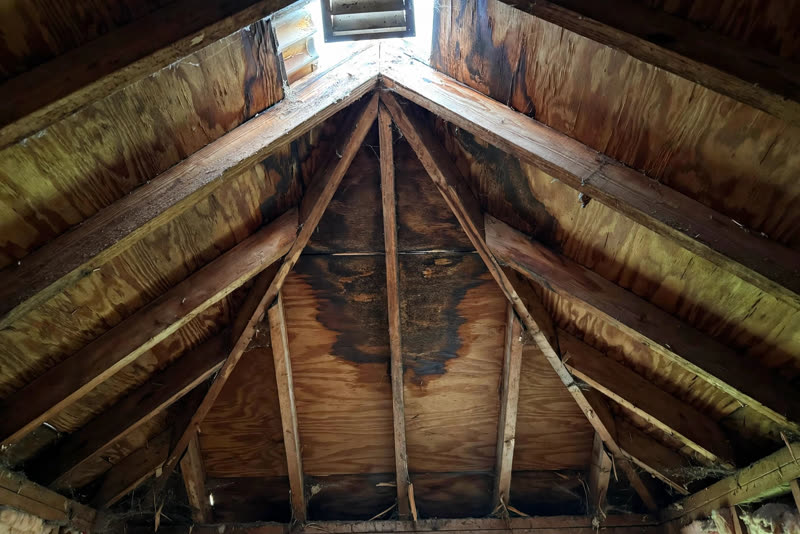 Sample customer photo: water-stained roof decking in an attic