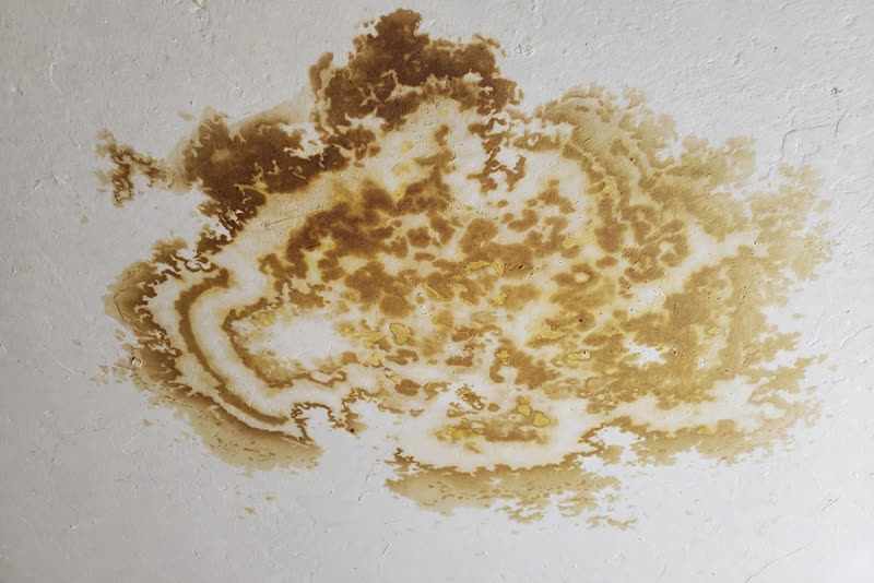 Sample customer photo: water stain on a ceiling